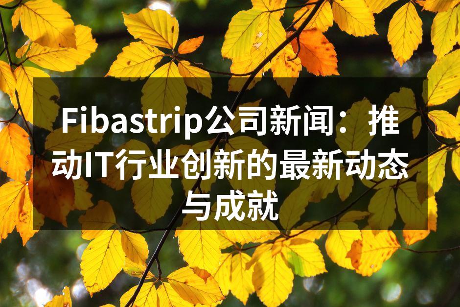 Fibastrip公司新闻：推动IT行业创新的最新动态与成就
