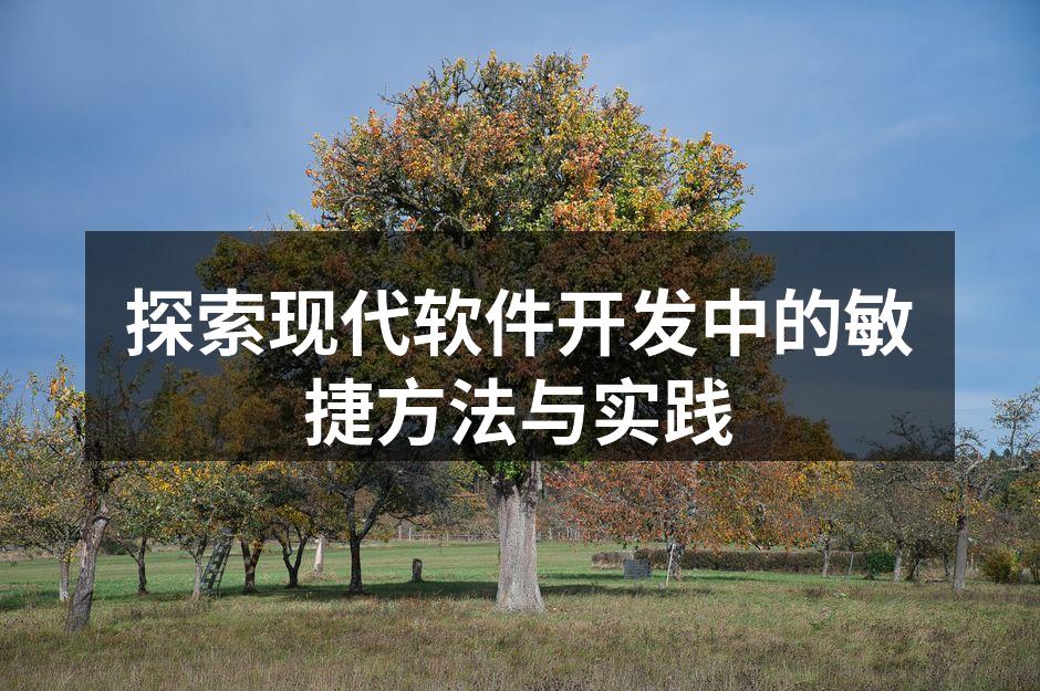 敏捷开发团队协作